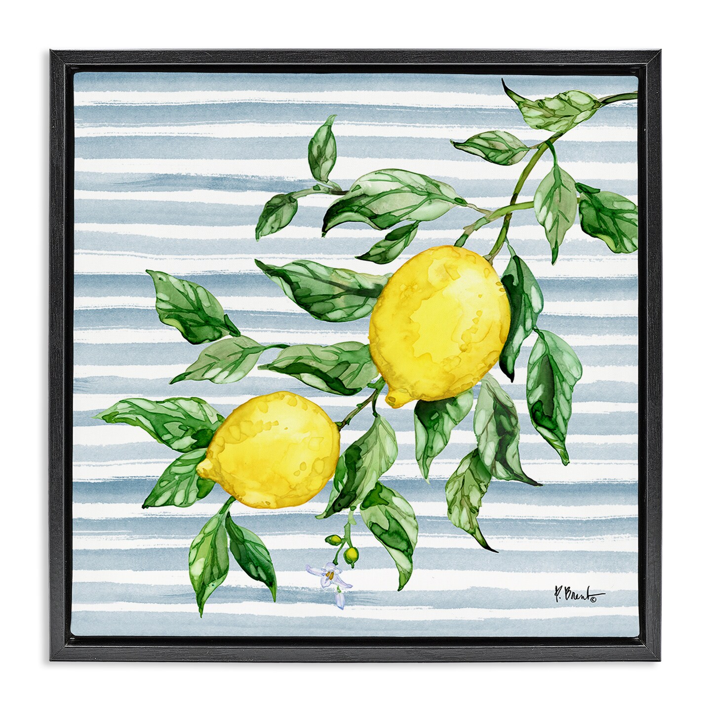 Stupell Industries Juicy Lemon Vine on Blue Floating Frame, design by Paul Brent
