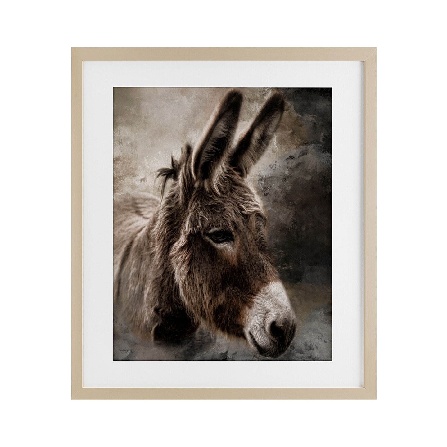 Stupell Industries All Ears Donkey Framed Print Under Glass, design by Robin-Lee Viera
