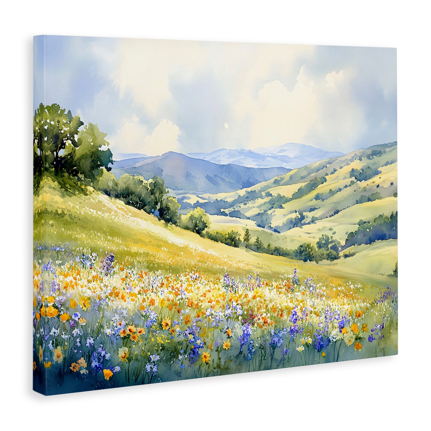 Stupell Industries Spring Meadow with Distant Mountain Canvas Design by Franklyn Gregory