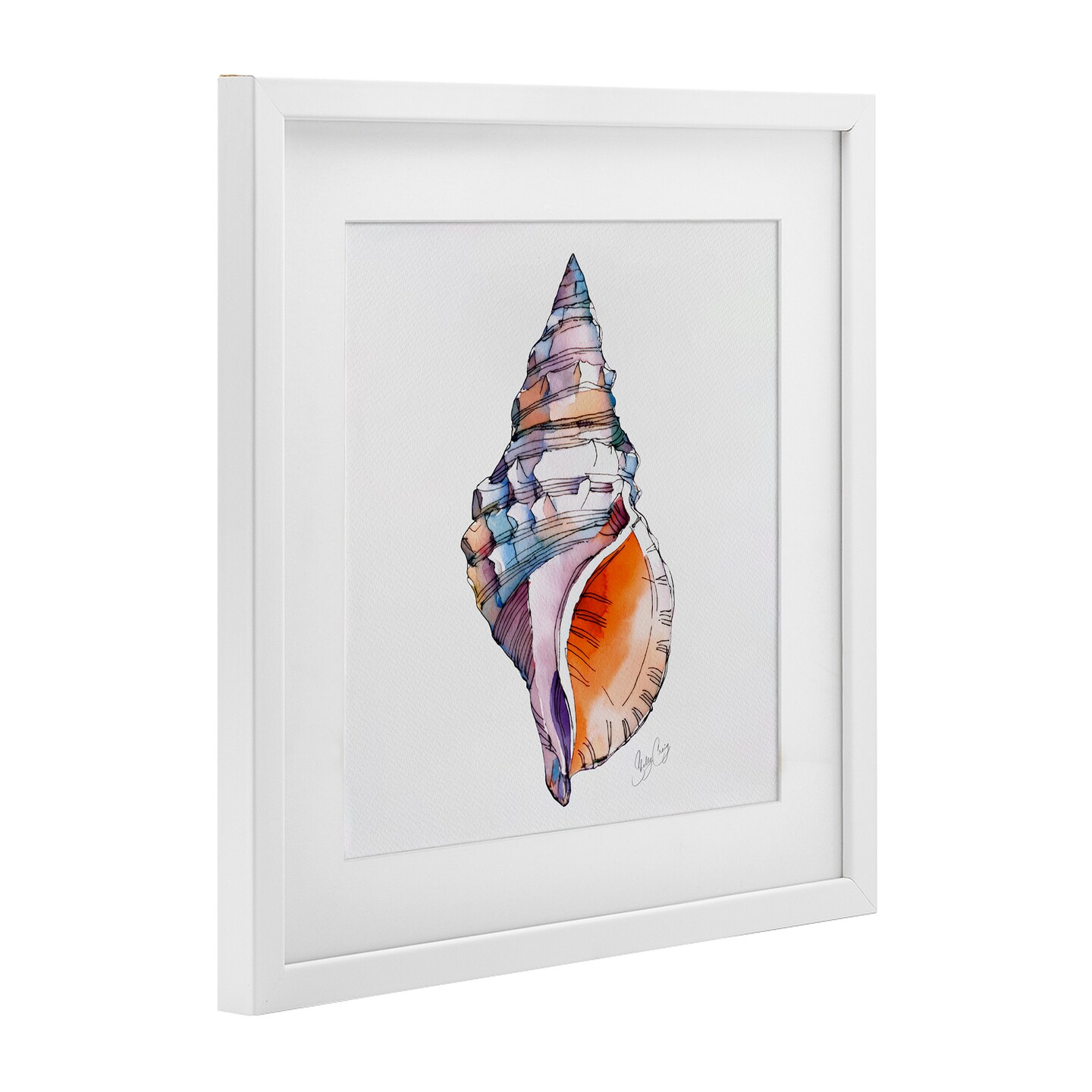 Stupell Industries Sunrise Conch Shell Framed Print Under Glass, design by Shelly Craig