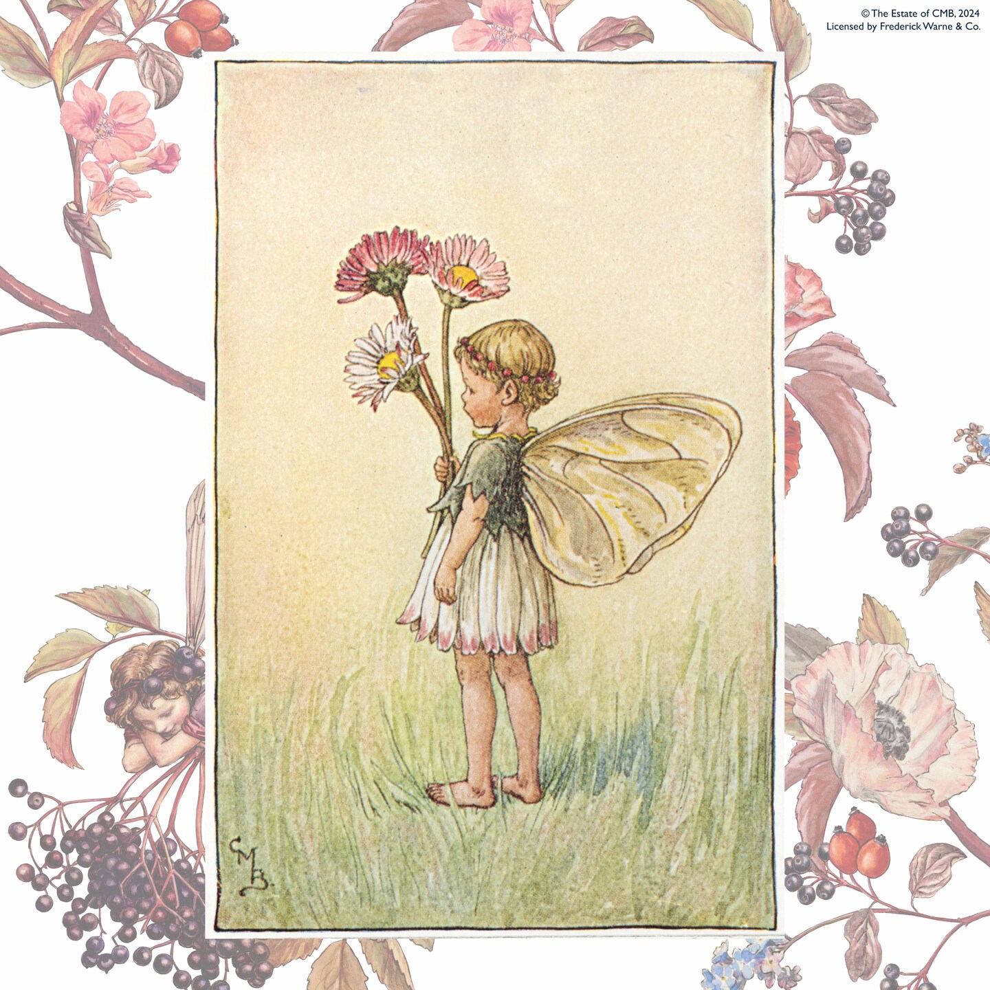 Felting Kit -  Daisy Fairy Needle Felting Kit