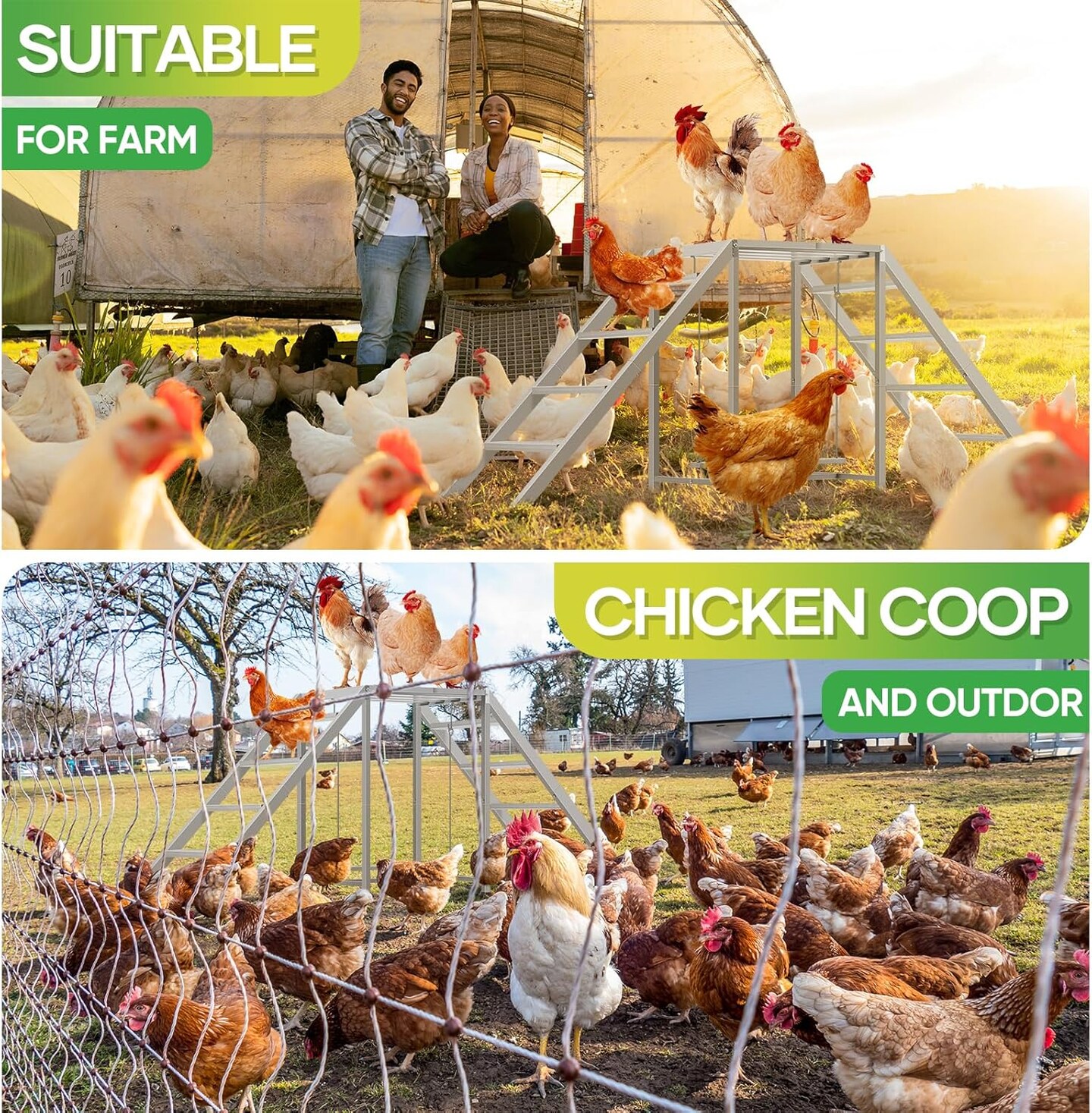 Chicken Perch for Coop with Swing Set,Chicken Ladder coop Toys,Chicken Roosting Bars, Chicken Run Accessories,Suitable for Pet's Health & Happy,Chicken Coop Toys for Backyard Farm