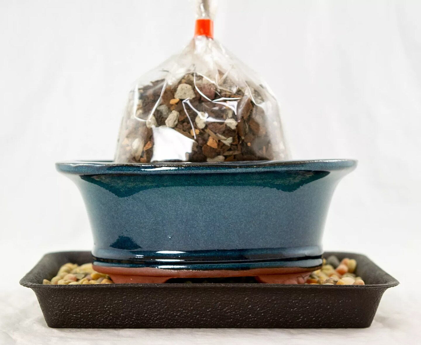 6.25&#x22; Oval Green Stain Bonsai / Succulent Pot + Soil + Tray + Rock + Mesh Kit