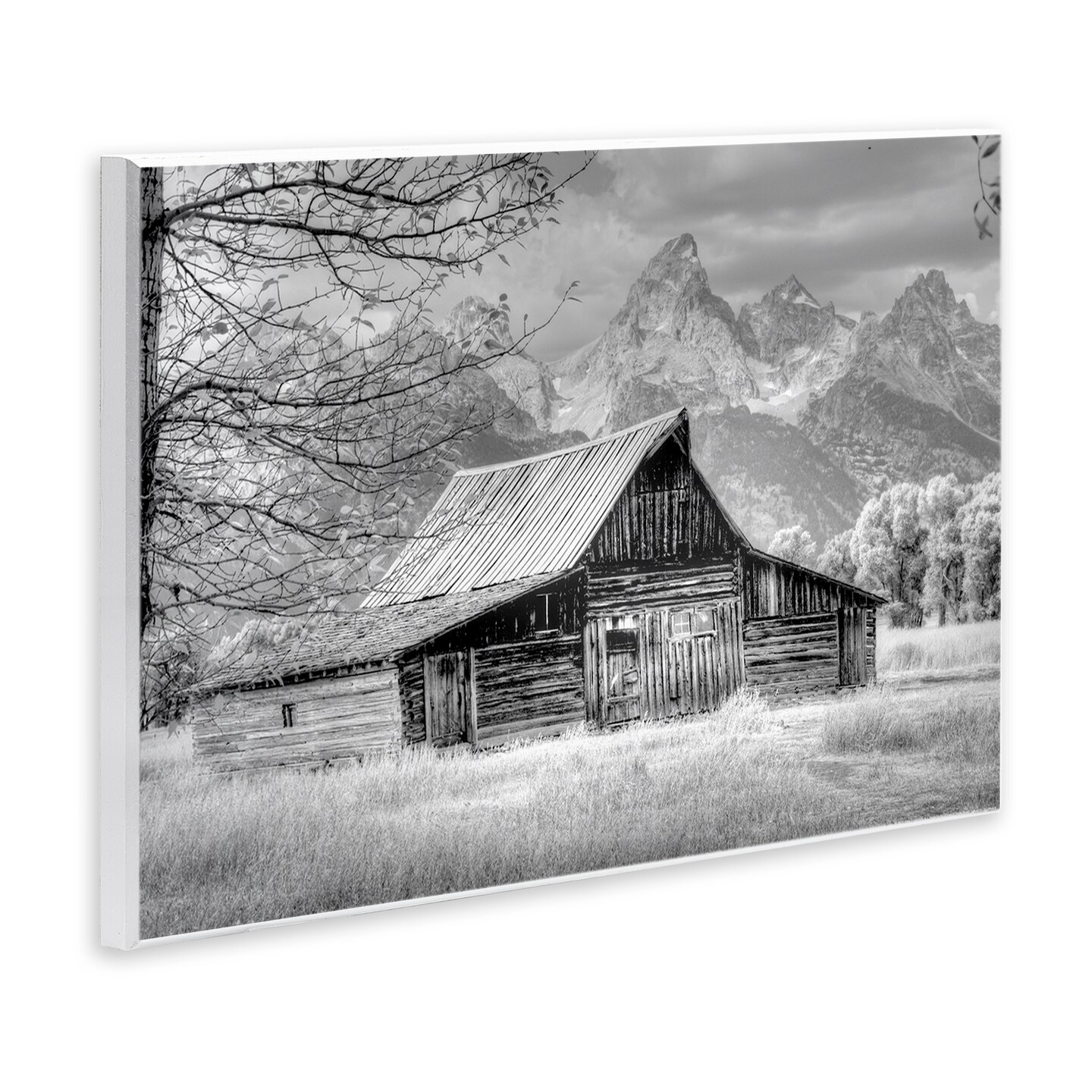 Stupell Industries Sign of the Feather Barn Landscape Wall Plaque By Jadei Graphics