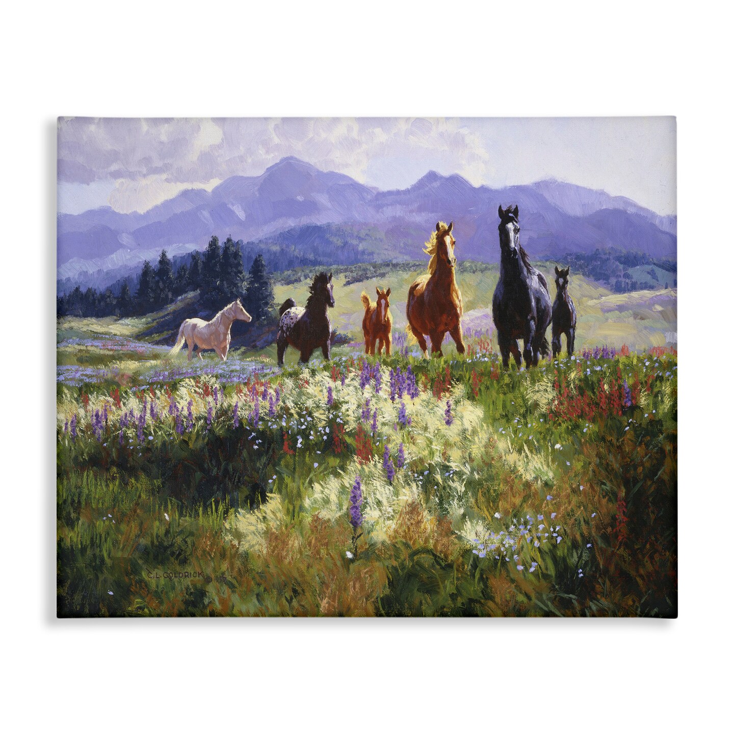 Stupell Industries Horses Trotting Through Floral Valley Canvas By Claire Goldrick