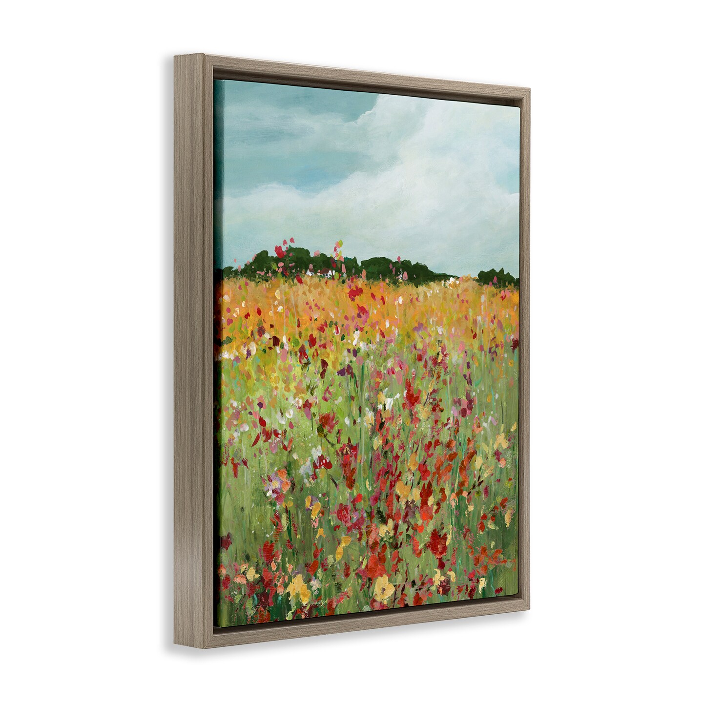 Stupell Industries Vivid Meadow Abstraction Floating Frame By Carol Robinson