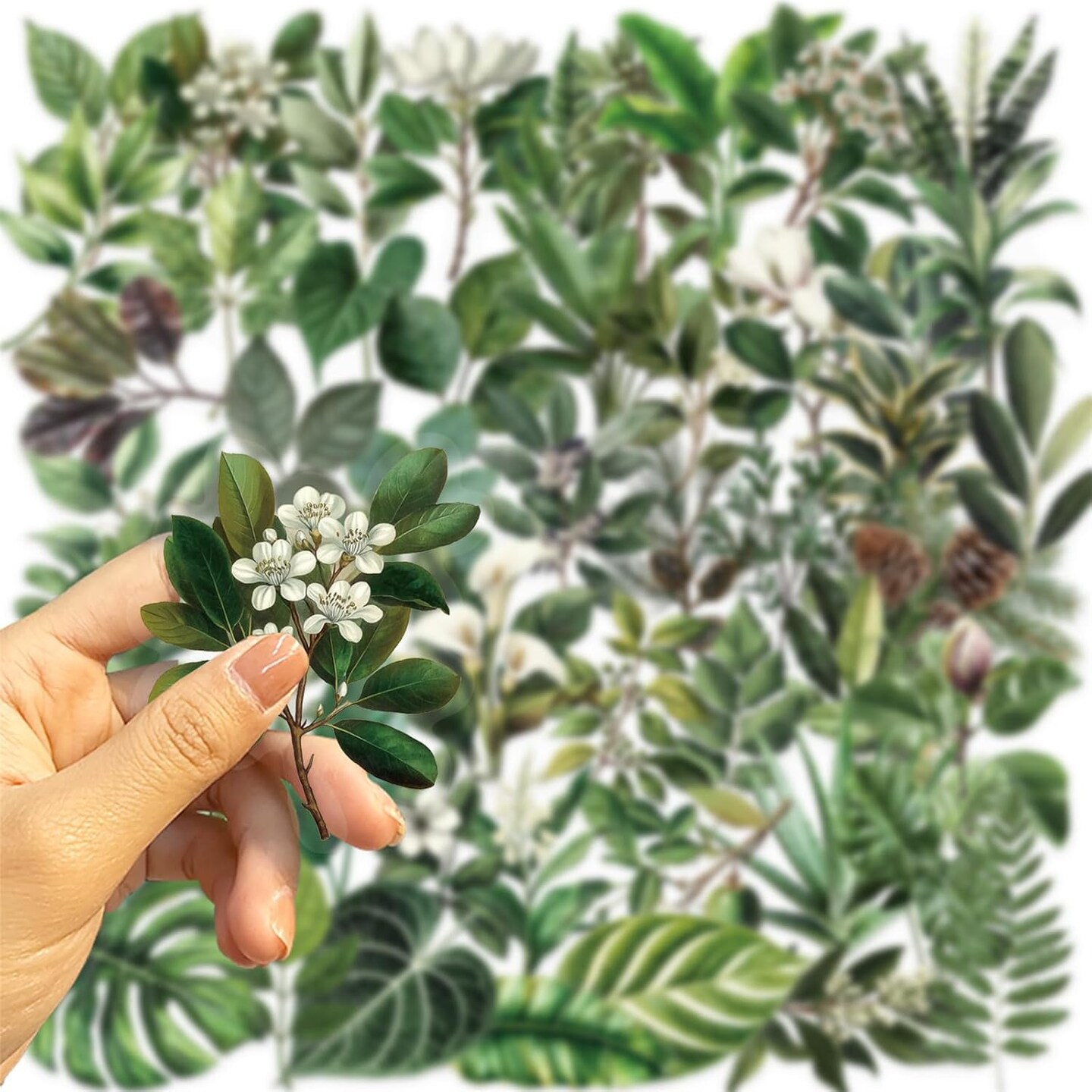 50PCS Transparent Green Leaf Stickers - Romance Floral Stickers Pack (Green)