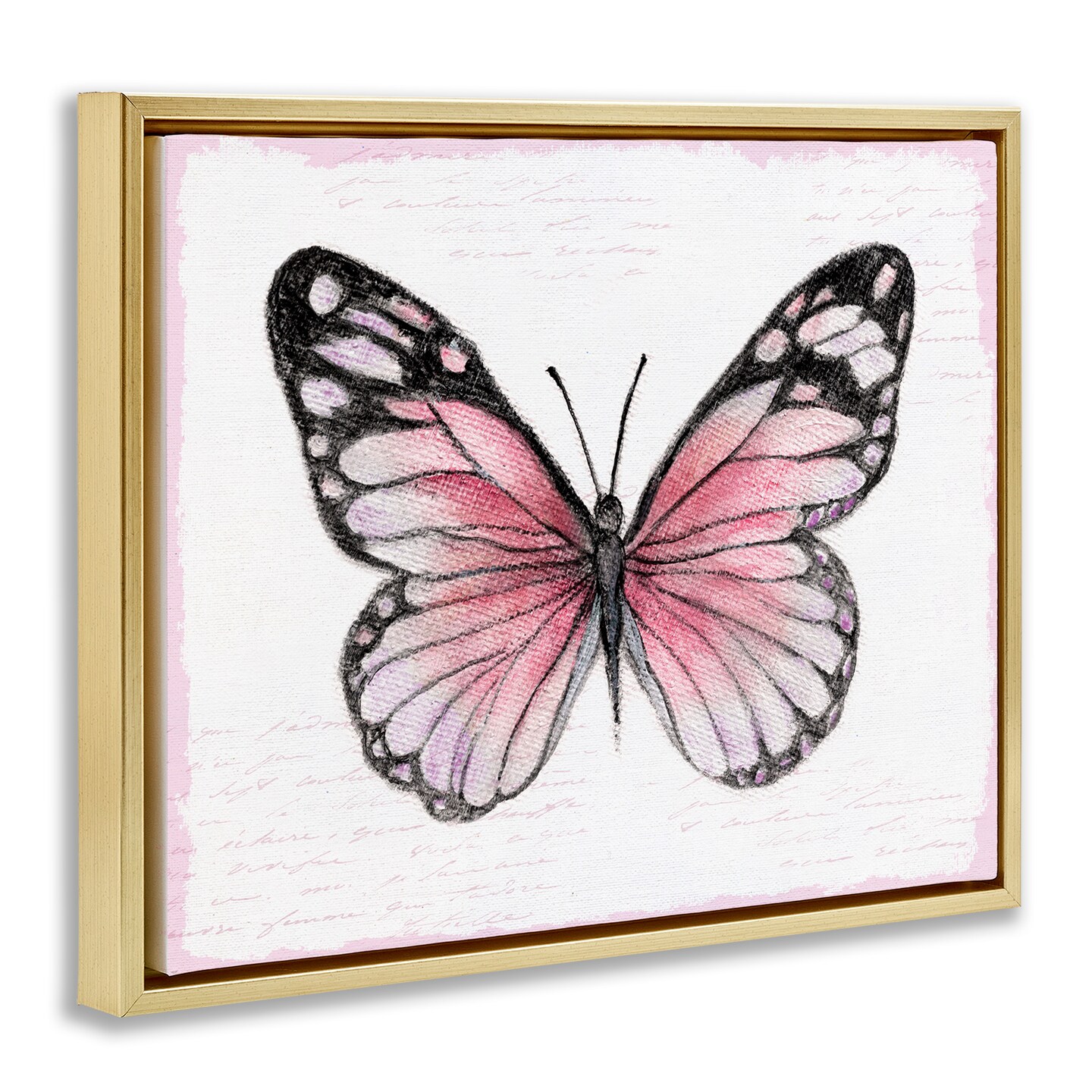 Stupell Industries Pink Monarch Butterfly Floating Frame By Janet Tava