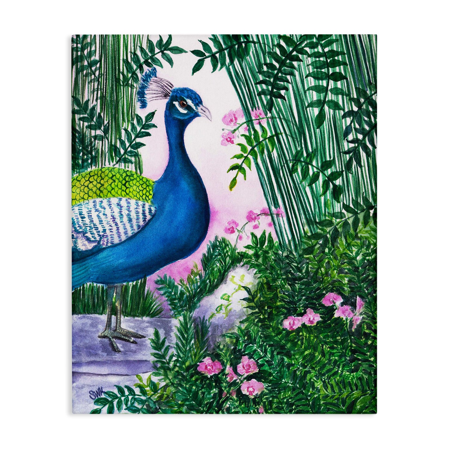 Stupell Industries Peacock in Pink Canvas By Sarah Waldron Kimball