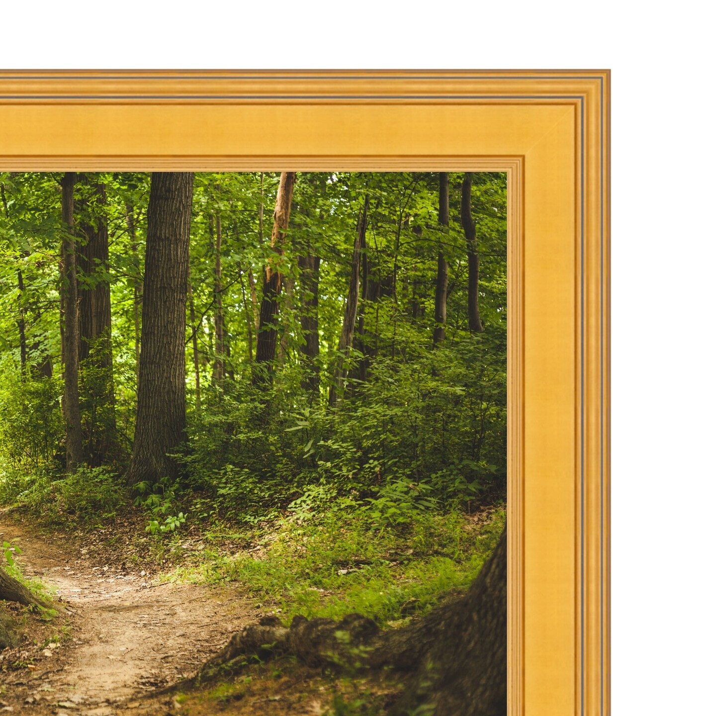 32 Inch TV Picture Frame - Decorative Custom frame for 32 inch TV Samsung