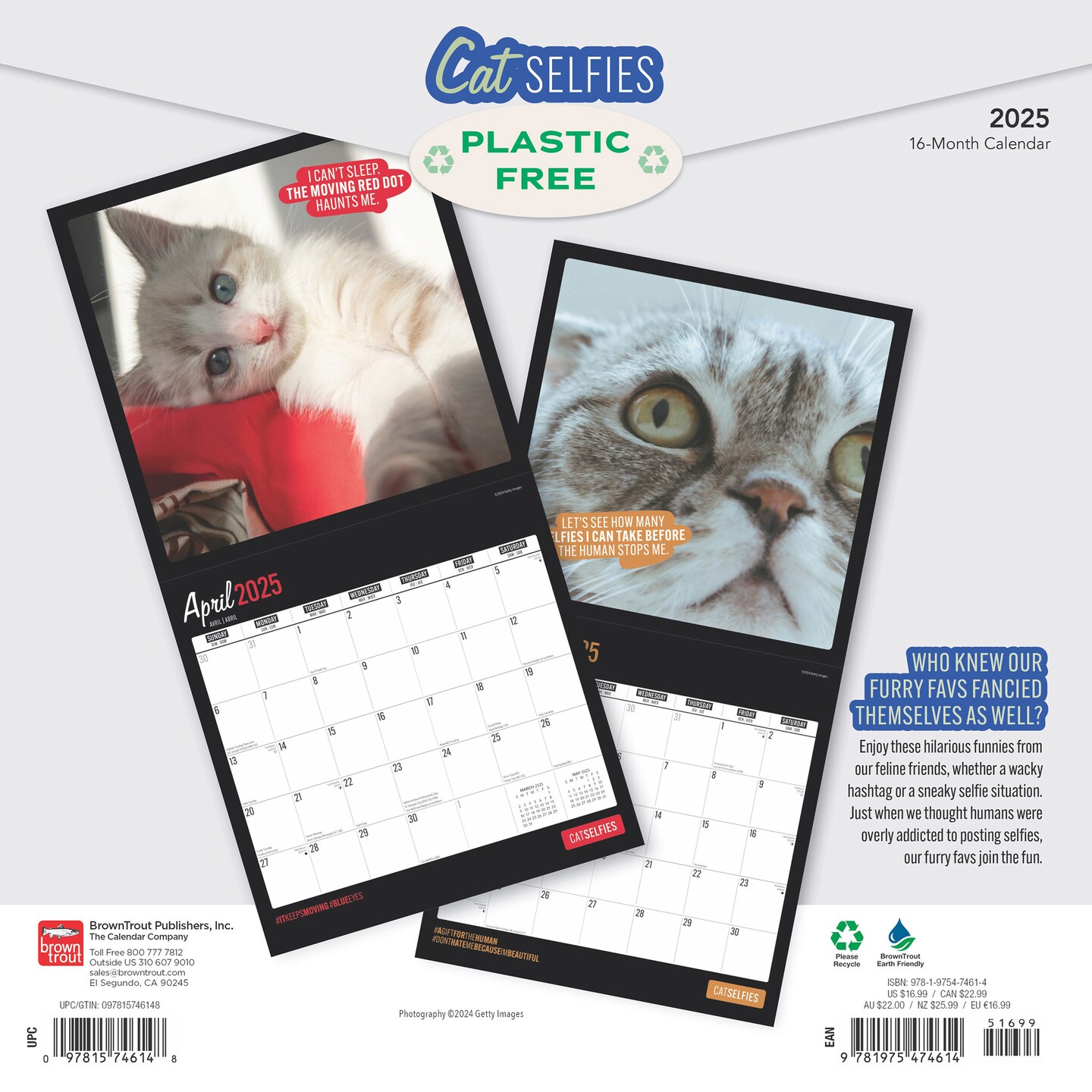 Cat Selfies | 2025 12 x 24 Inch Monthly Square Wall Calendar | Plastic-Free | BrownTrout | Pet Humor Kitten Feline