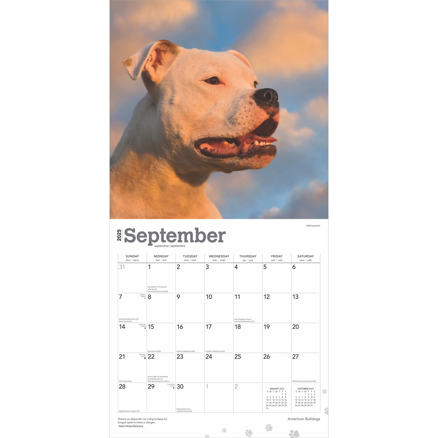 American Bulldogs | 2025 12 x 24 Inch Monthly Square Wall Calendar | Plastic-Free | BrownTrout | Animals Dog Breeds