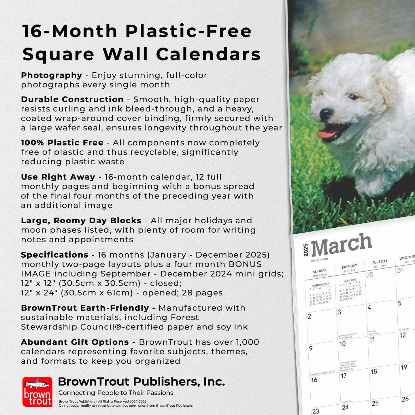 Bichon Frise Puppies | 2025 12 x 24 Inch Monthly Square Wall Calendar | Plastic-Free | BrownTrout | Animals Dog Breeds Puppy