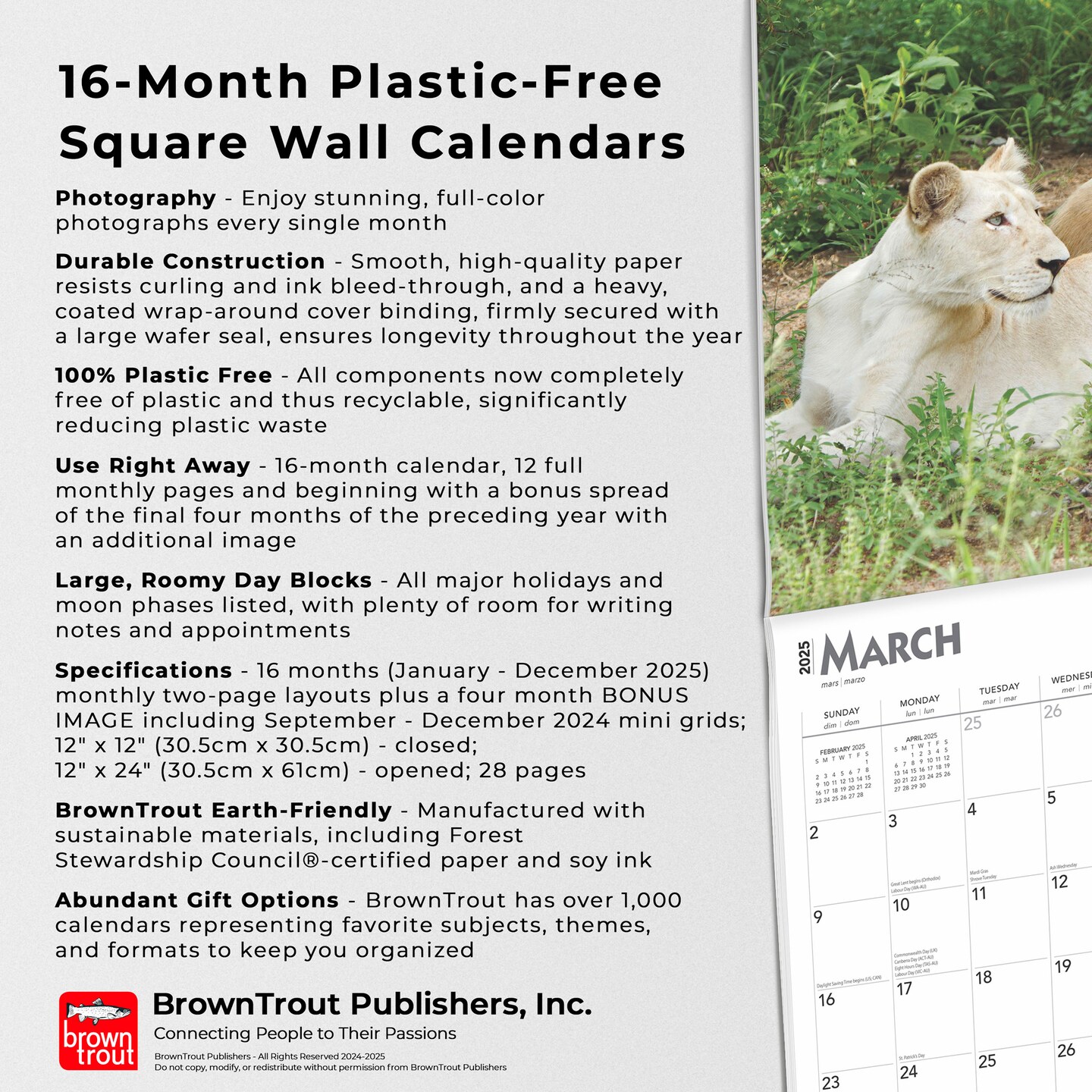 Lions | 2025 12 x 24 Inch Monthly Square Wall Calendar | Plastic-Free | BrownTrout | Animals Wildlife