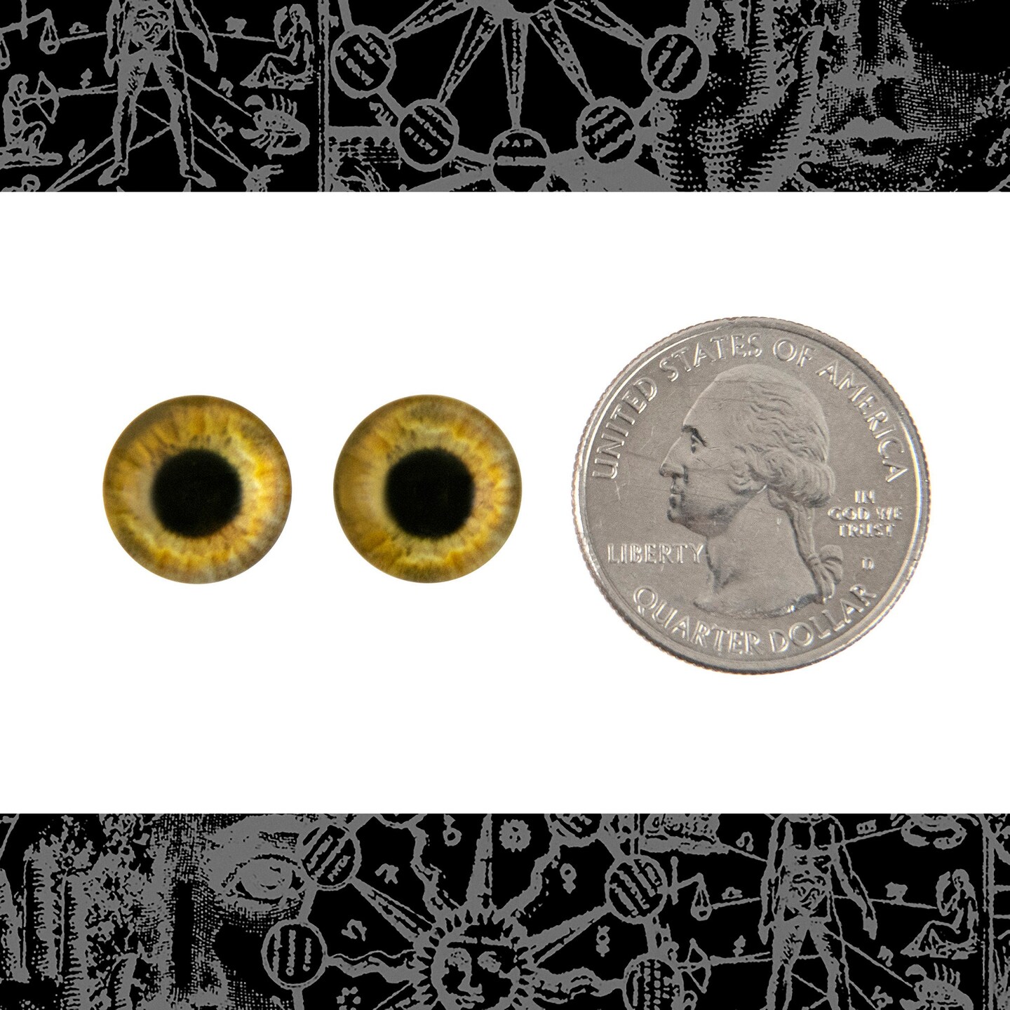 12mm Round Golden Glass Eye Cabochons - Set of Two - CAB53