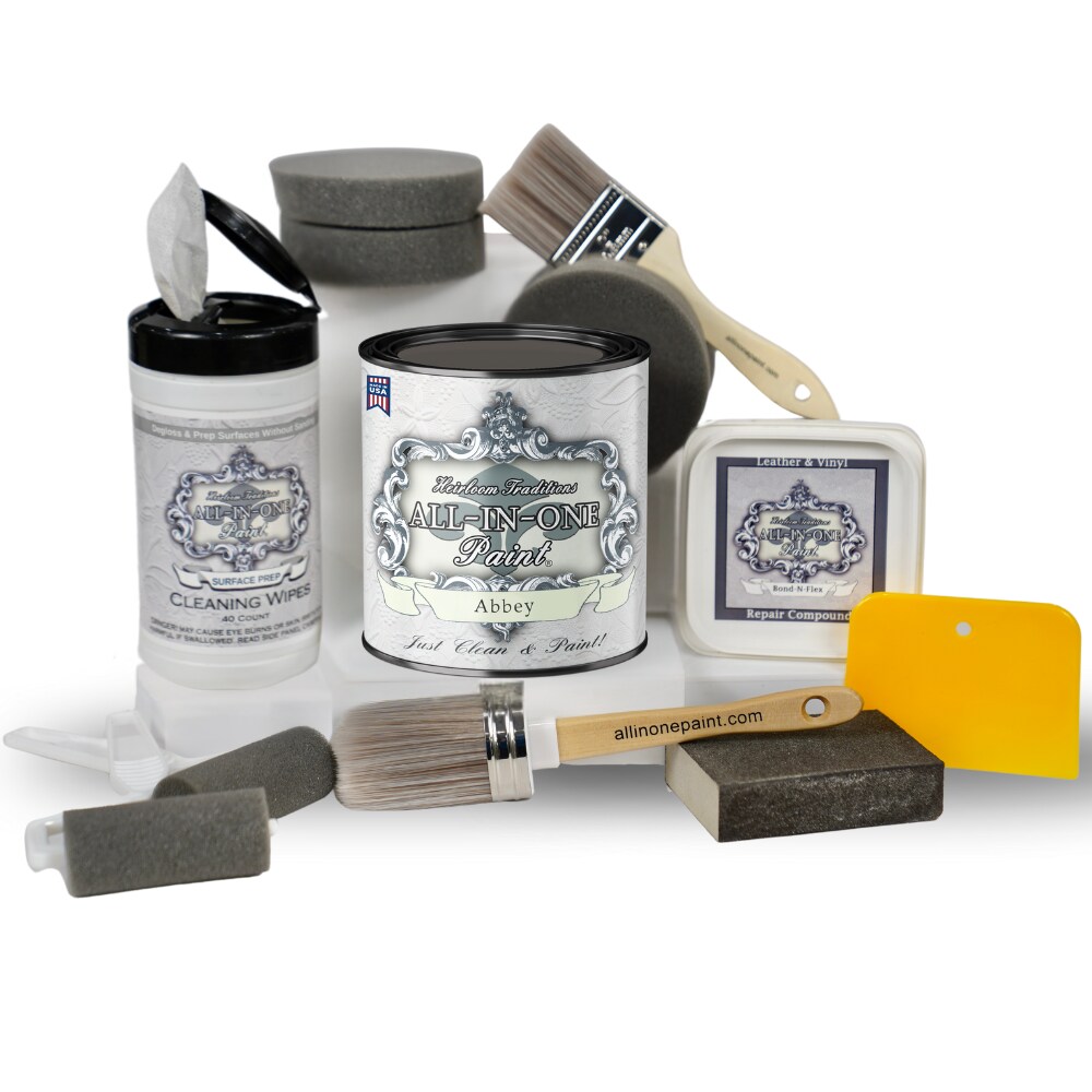 ALL-IN-ONE Paint, Bond-N-Flex Vinyl &#x26; Leather Repair Kit Paint