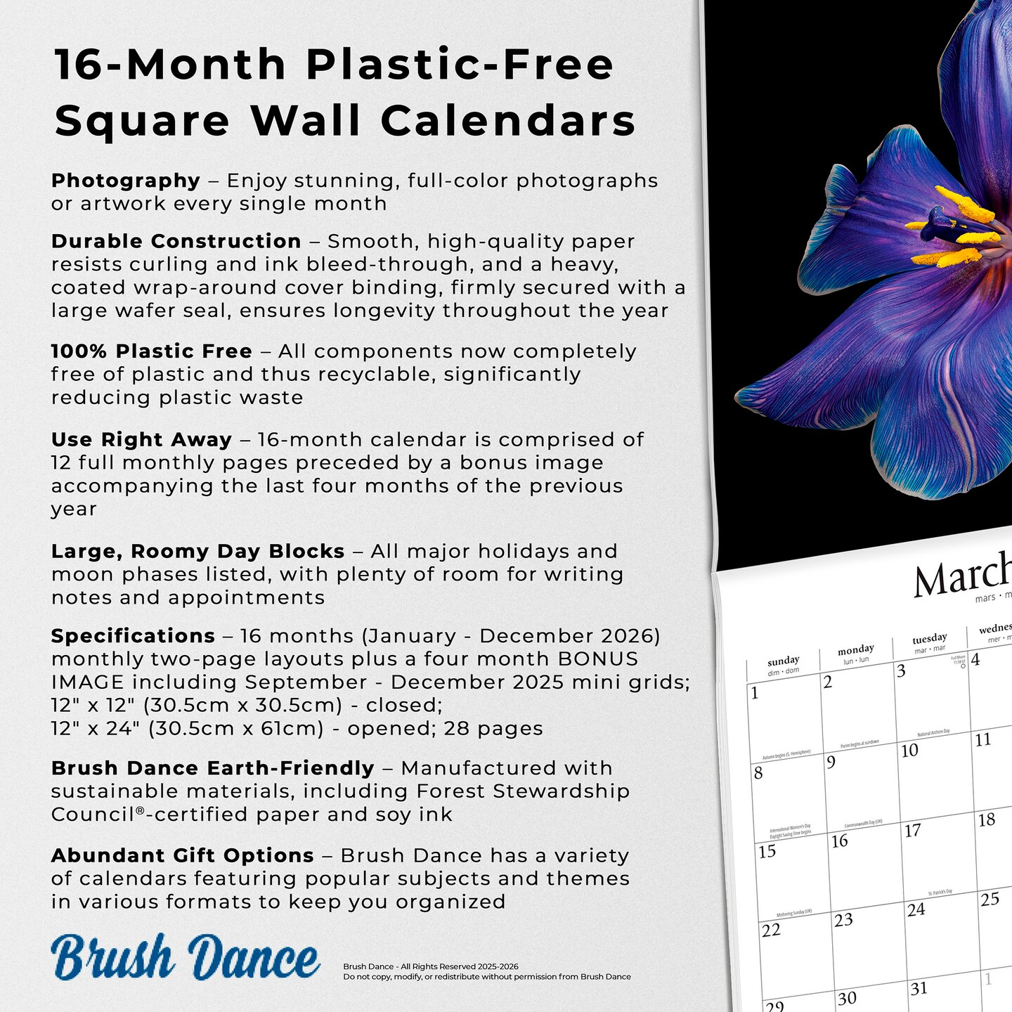 In the Garden | 2026 12 x 24 Inch (Hanging) Monthly Square Wall Calendar | Plastic-Free