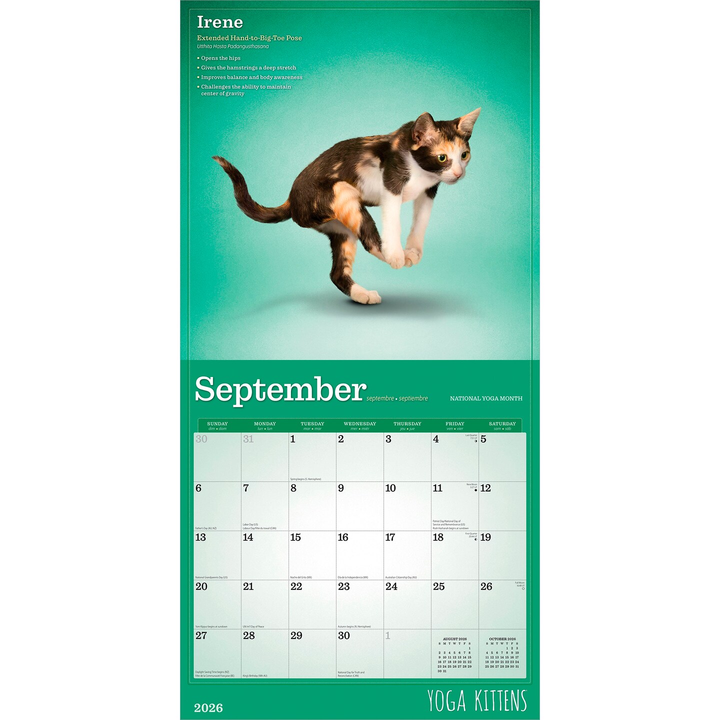 Yoga Kittens OFFICIAL | 2026 12 x 24 Inch (Hanging) Monthly Square Wall Calendar