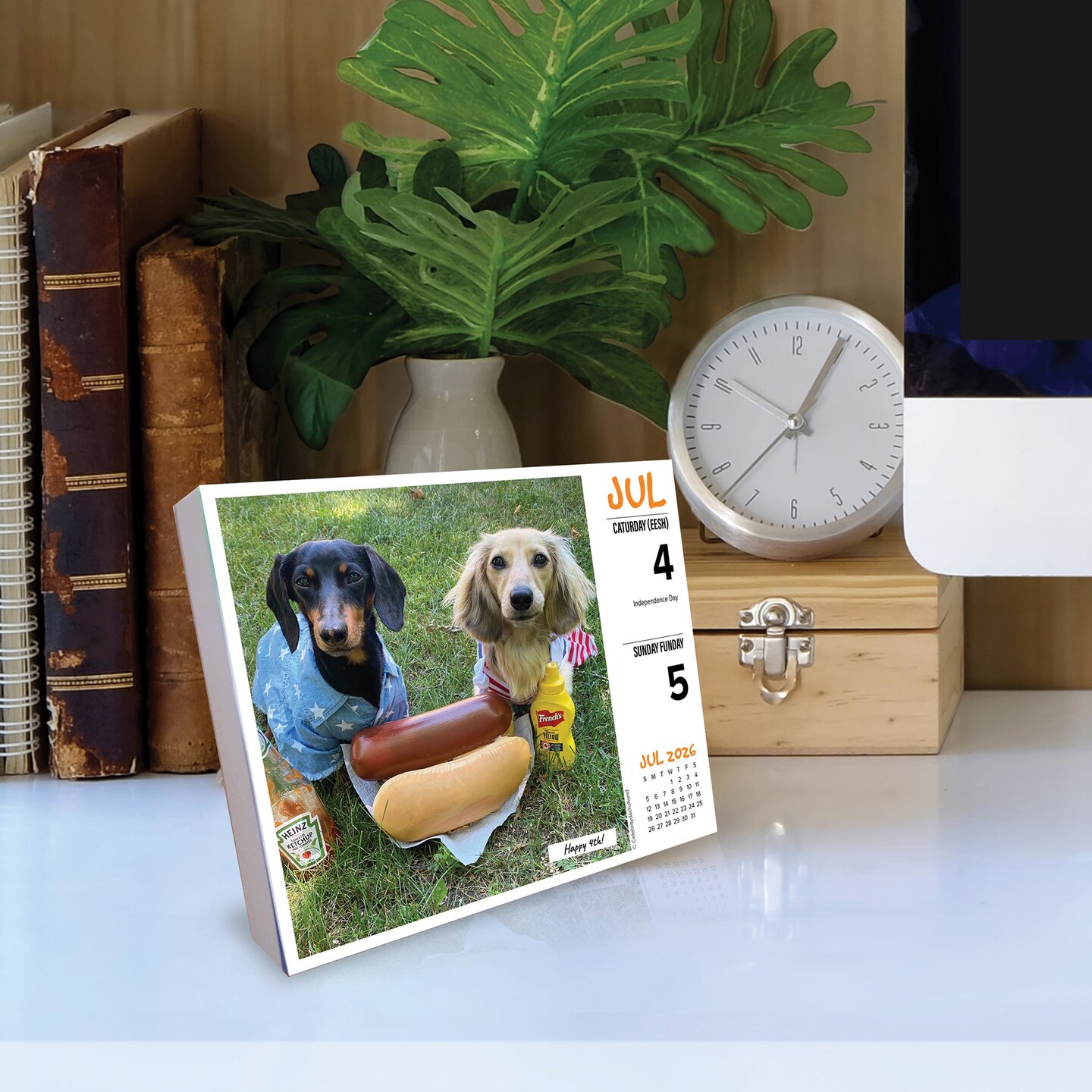 Crusoe the Celebrity Dachshund 2026 Box Calendar