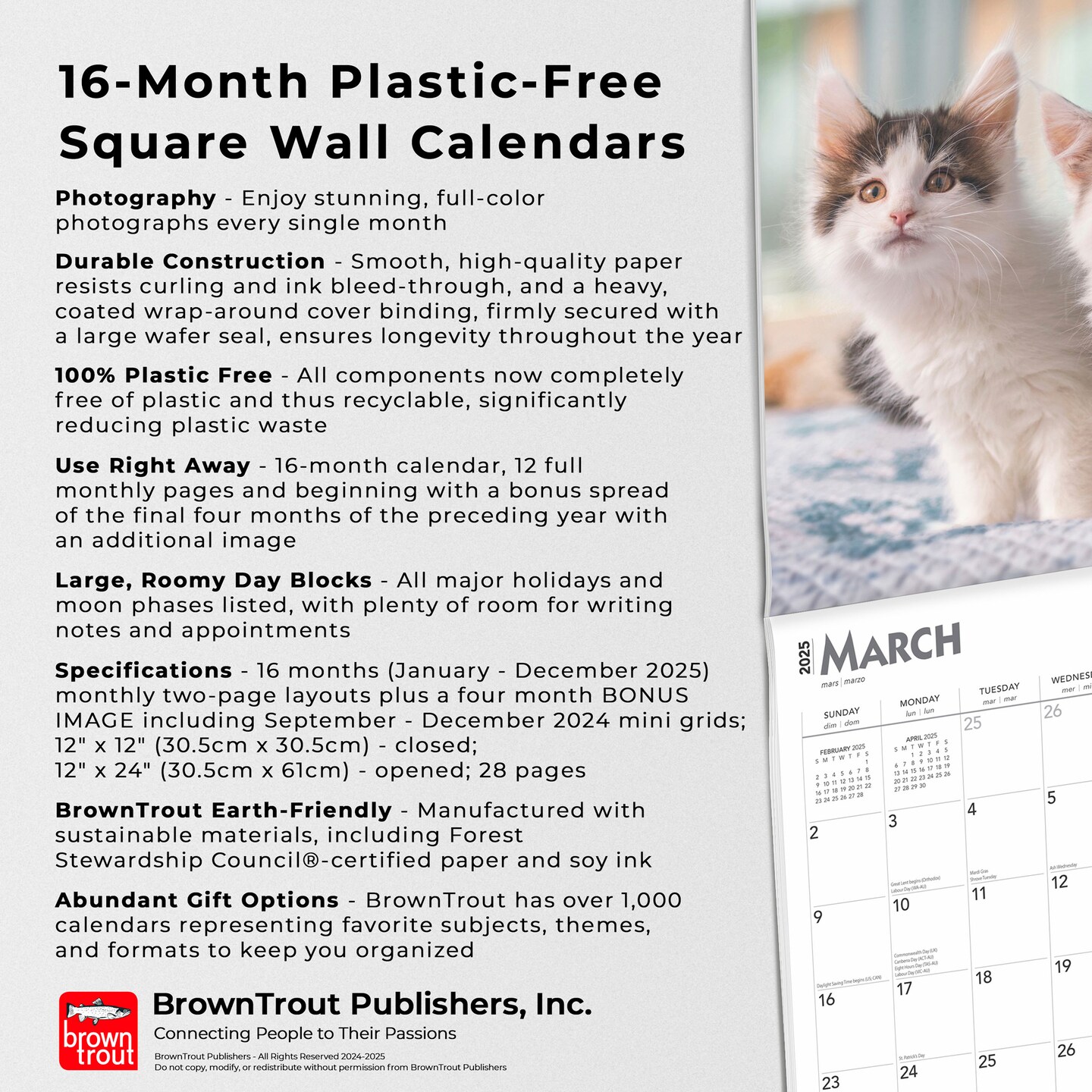 Maine Coon Cats | 2025 12 x 24 Inch Monthly Square Wall Calendar | Plastic-Free | BrownTrout | Animals Feline Kittens