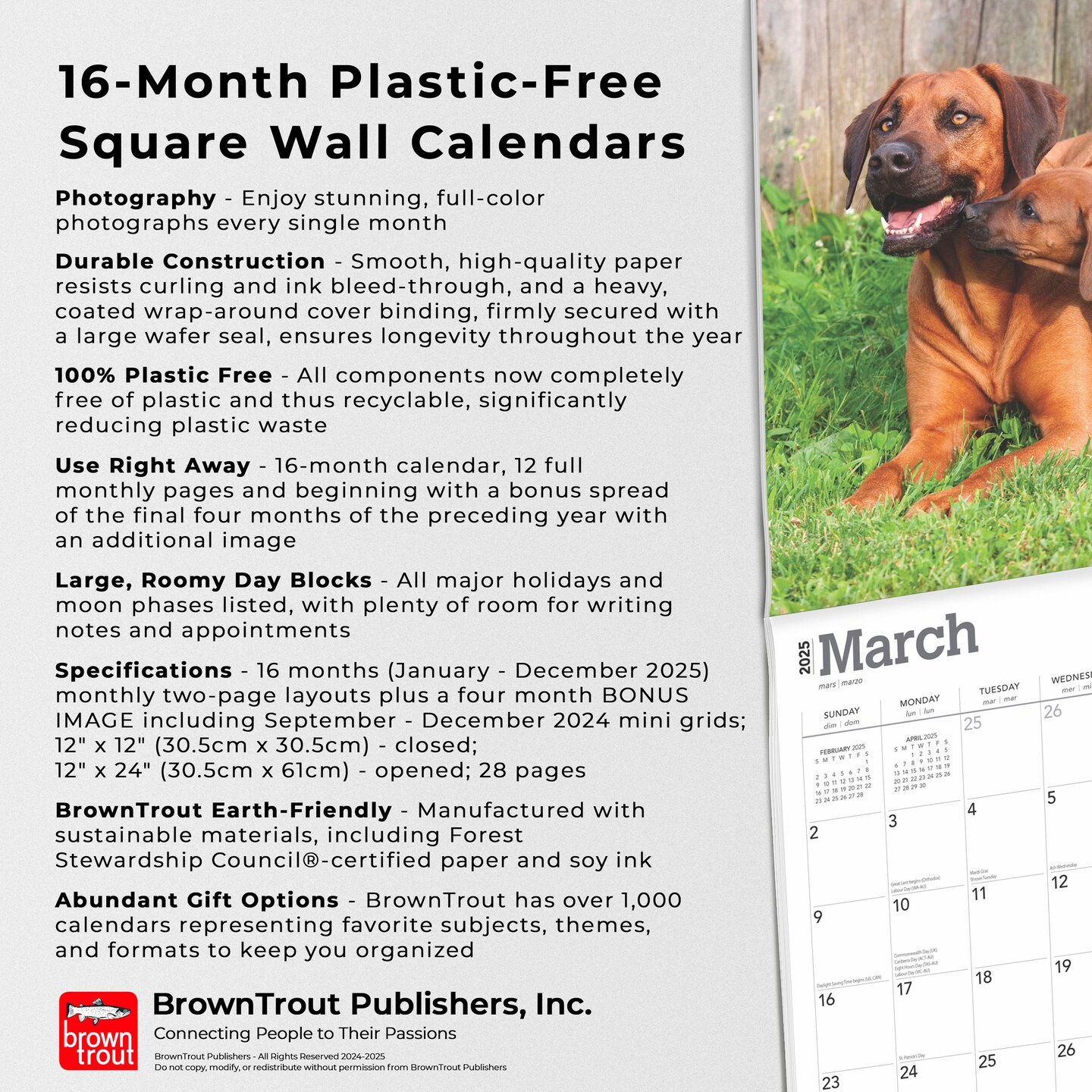 Rhodesian Ridgebacks | 2025 12 x 24 Inch Monthly Square Wall Calendar | Plastic-Free | BrownTrout | Animals Dog Breeds