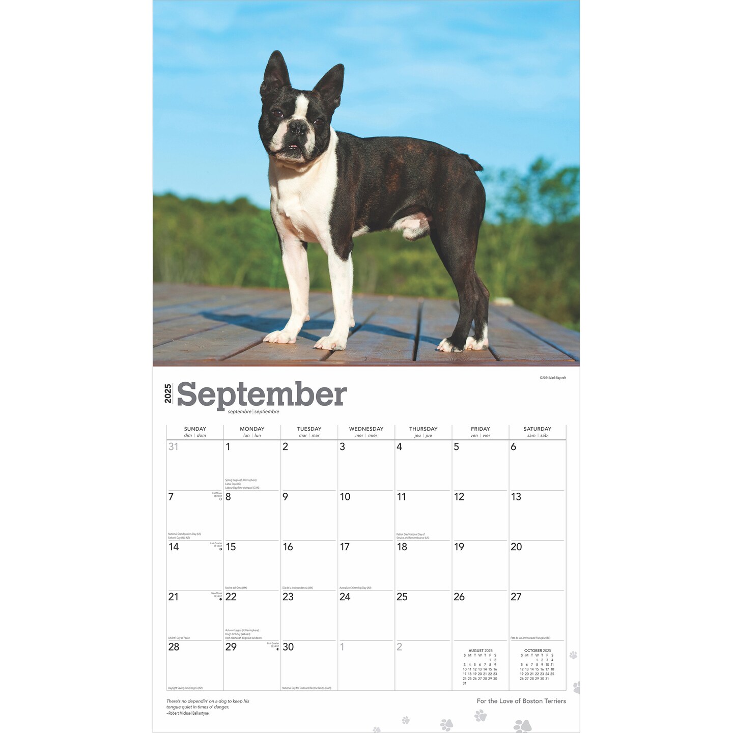 For the Love of Boston Terriers | 2025 14 x 24 Inch Monthly Deluxe Wall Calendar | Foil Stamped Cover | Plastic-Free | BrownTrout | Animal Dog Breeds