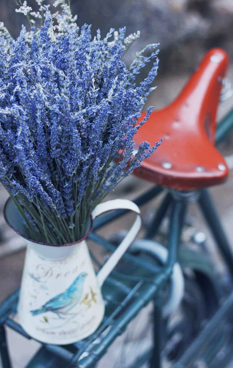 Natural Lavender Bundles, Freshly Harvested 400+ Stems Dried Lavender Bunch 16&#x22; - 18&#x22; Long, Decorative Flowers Bouquet for Home Decor, Crafts, Gift, Wedding or Any Occasion