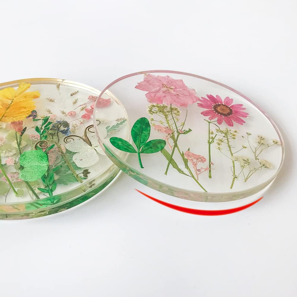 Set of 6 Floral Coasters for Drinks