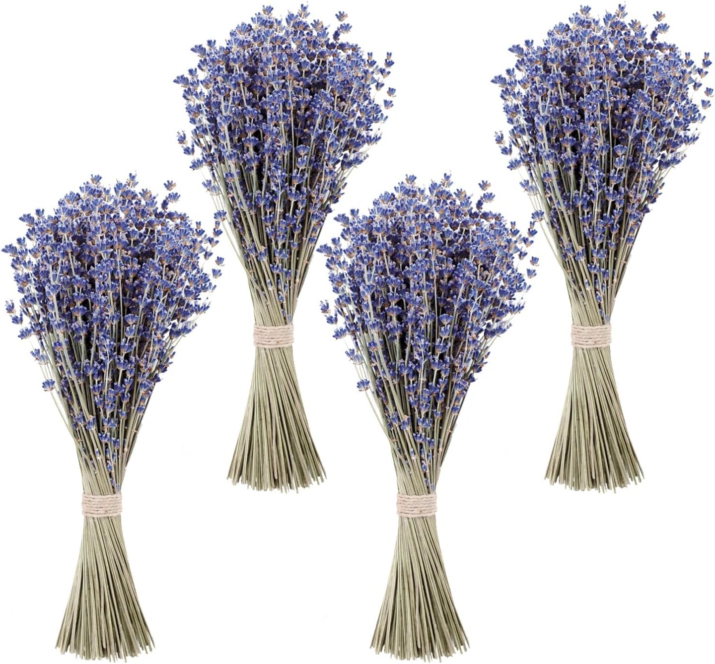 Dried Lavender Bundles - 100% Natural Dried Lavender Flowers with 600 Stems (16-17 Inches) for Home Fragrance, Weddings &#x26; Party Decoration | Bonus Pouch Filled with Dried Lavendar Buds