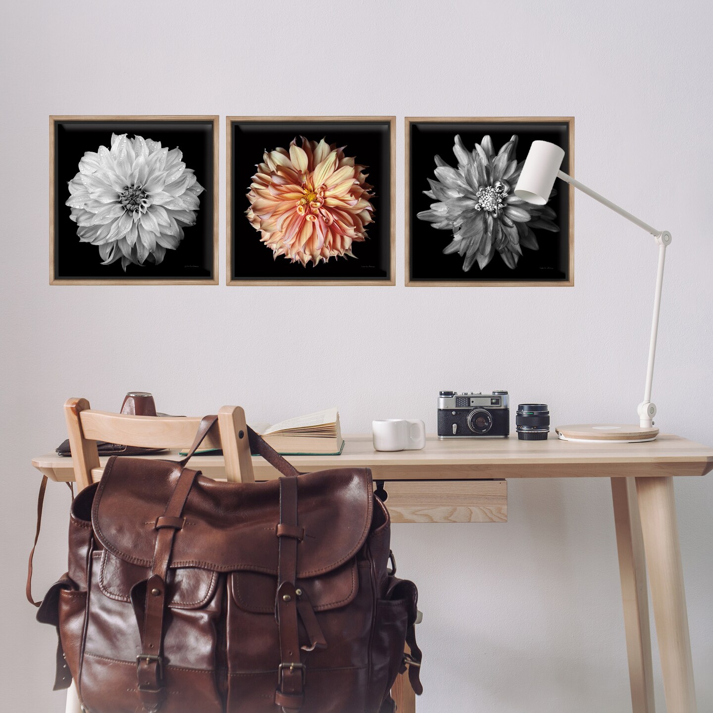 Stupell Industries Detailed Dahlia Photography 3 pc Framed Floater Canvas Wall Art Set Design by Debra Van Swearingen