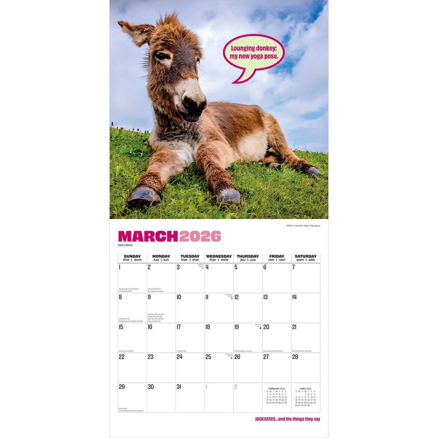 Jackasses | 2026 12 x 24 Inch (Hanging) Monthly Square Wall Calendar | Plastic-Free