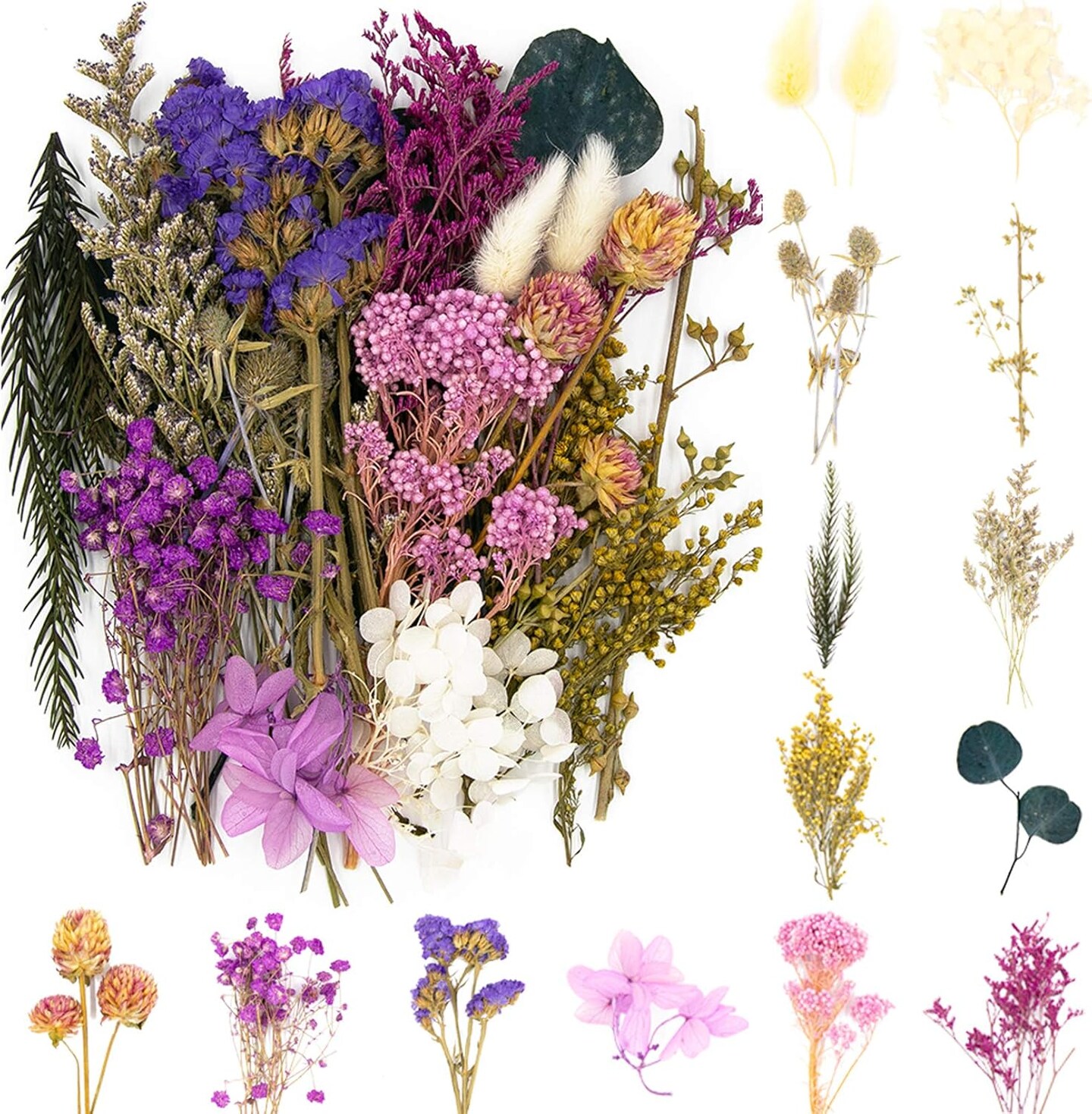 Dried Pressed Leaf Flowers-Multiple Colorful Pressed Flowers Daisies for Craft Resin Jewelry Making Art Craft DIY(Violet)