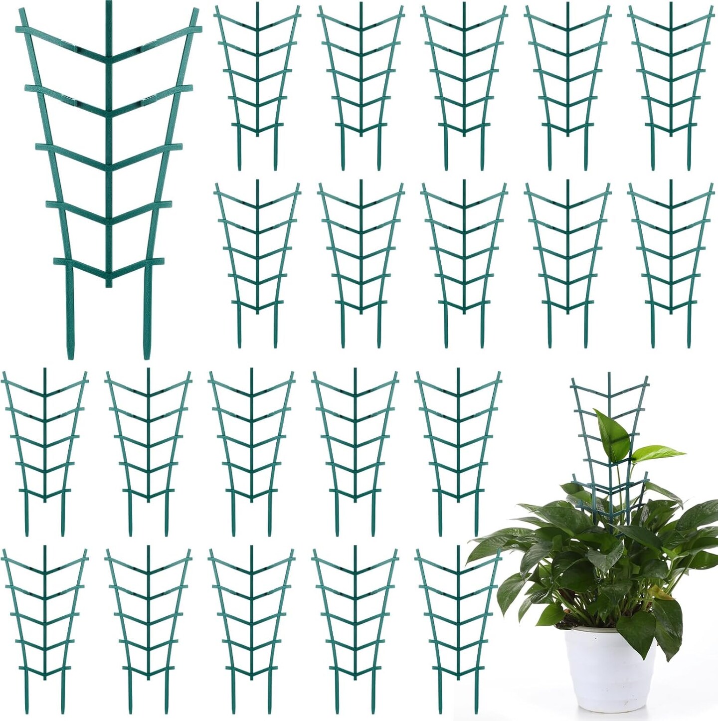 50 Pack Plant Trellis for Pots Garden Trellis for Potted Plants
