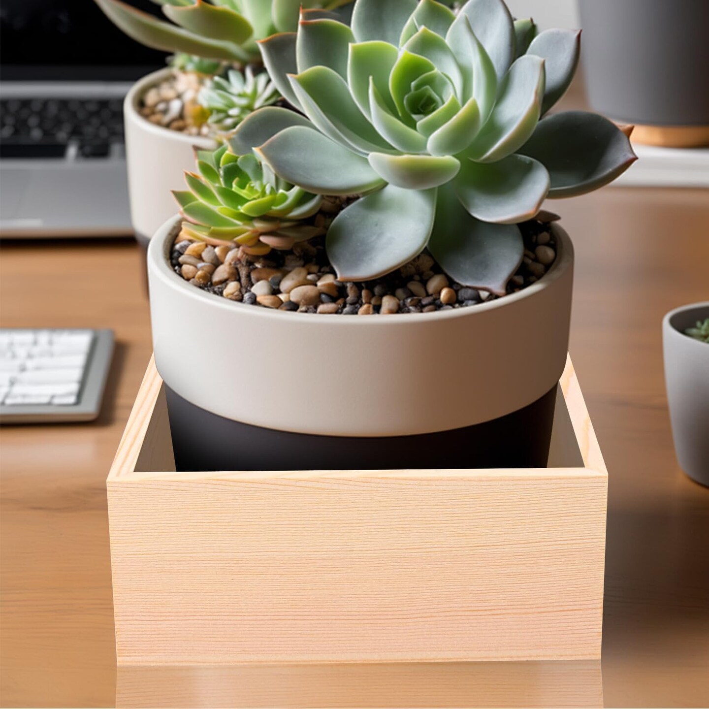 12 PCS Unfinished Wooden Boxes for Display Home Decor, and DIY Crafts