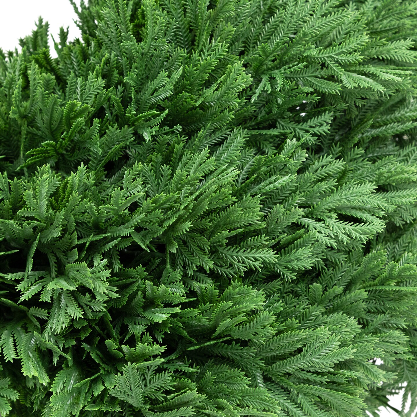 Northlight Cedar Spiral Topiary Tree - Thumbnail 2