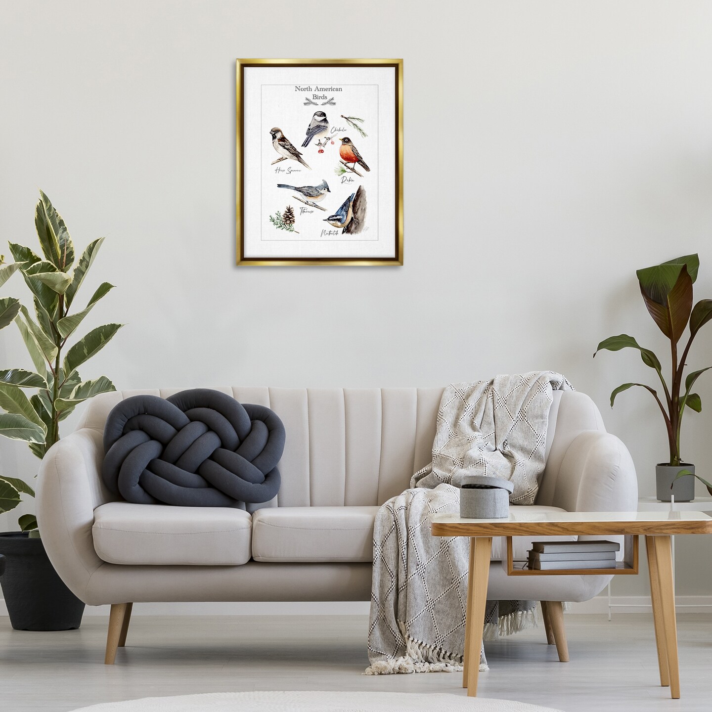 Stupell Industries North American Birds Chart Floating Frame By Heather Desormeaux