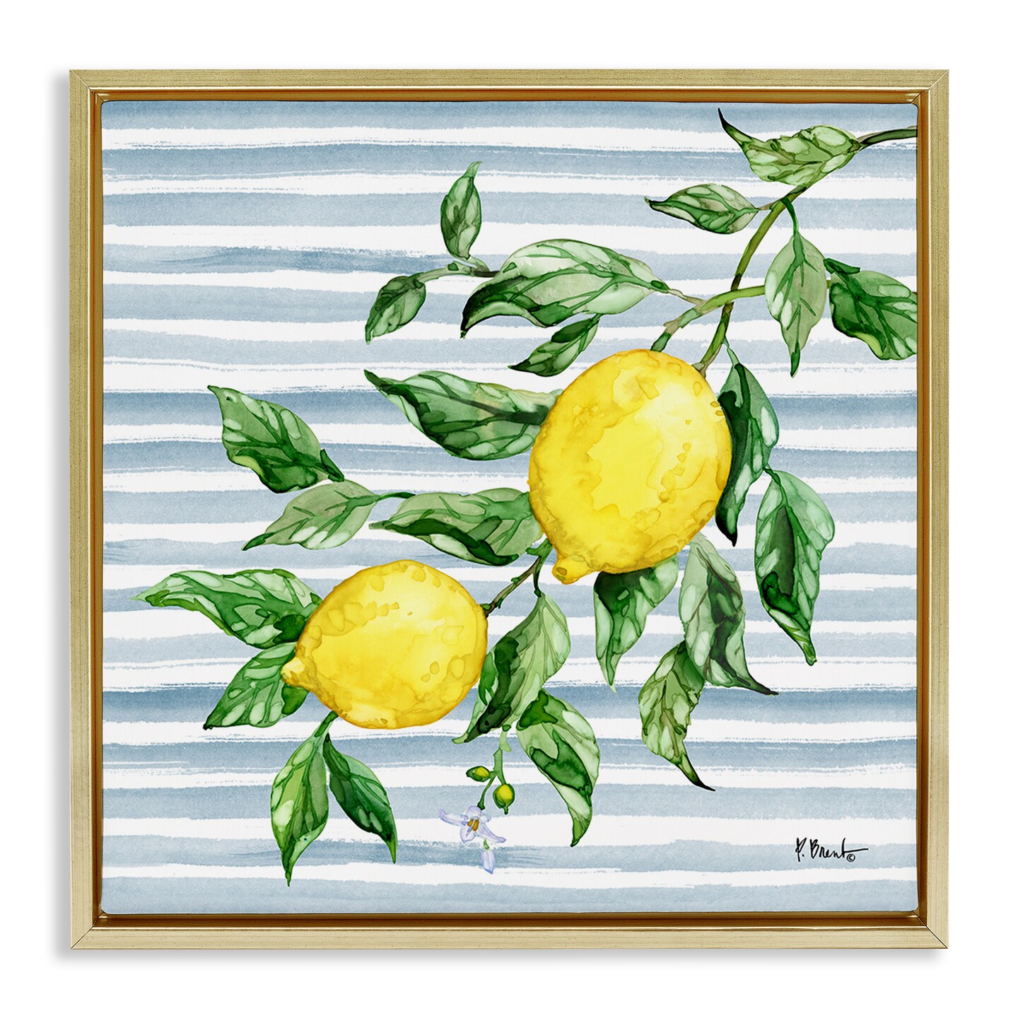 Stupell Industries Juicy Lemon Vine on Blue Floating Frame, design by Paul Brent