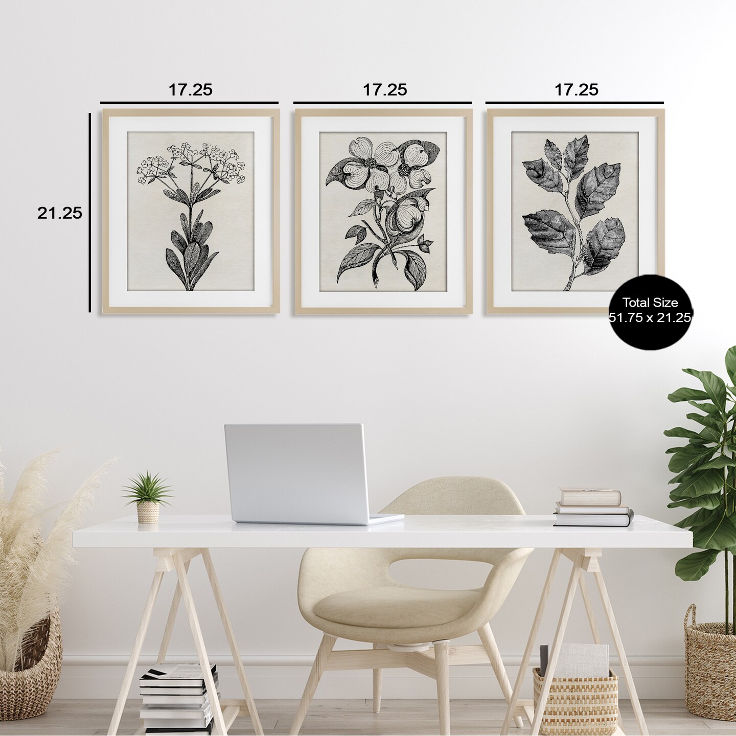 Stupell Industries Classic Natural Botanicals 3pc Framed Print Under Glass Set, design by Karen Smith