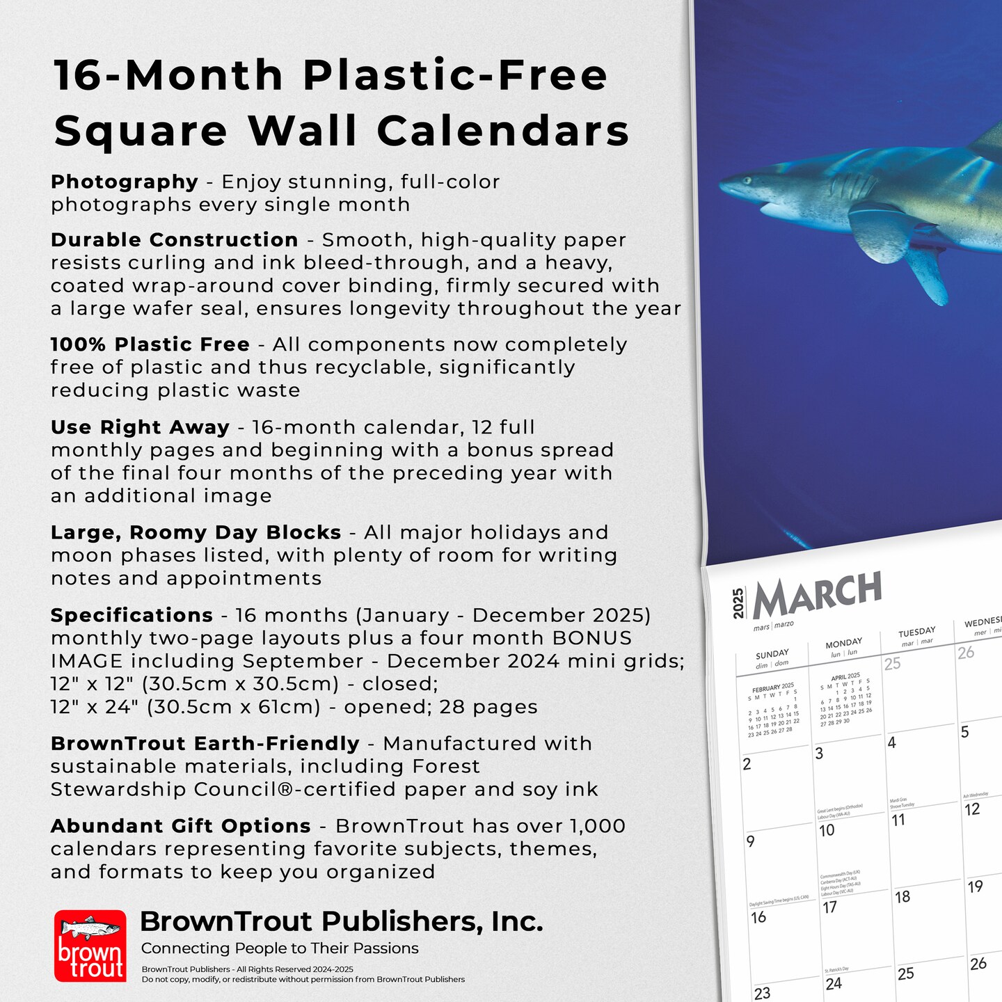 Sharks | 2025 12 x 24 Inch Monthly Square Wall Calendar | Plastic-Free | BrownTrout | Wildlife Marine Animals Fish