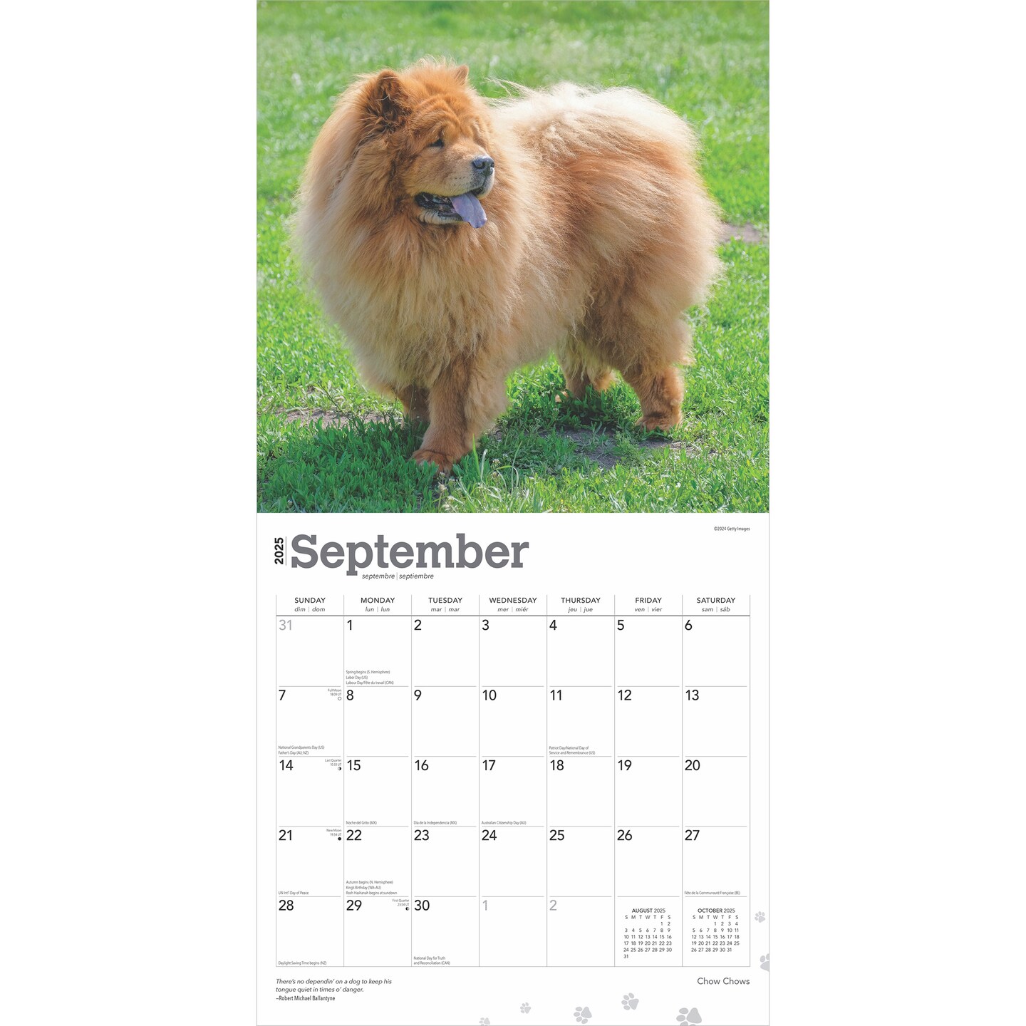 Chow Chows | 2025 12 x 24 Inch Monthly Square Wall Calendar | Plastic-Free | BrownTrout | Animals Dog Breeds
