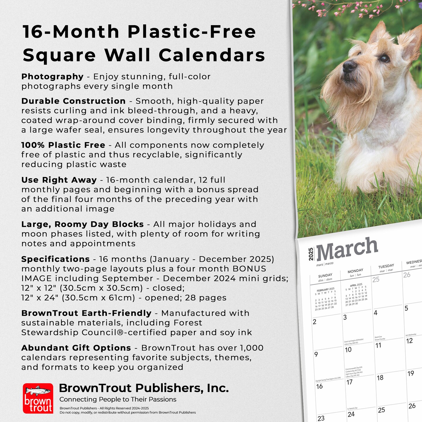 Scottish Terriers | 2025 12 x 24 Inch Monthly Square Wall Calendar | Plastic-Free | BrownTrout | Animals Small Scottie