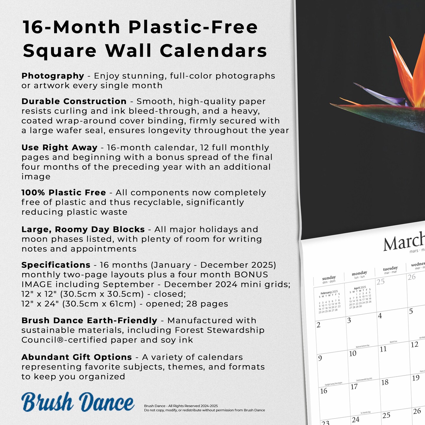 In the Garden | 2025 12 x 24 Inch Monthly Square Wall Calendar | Plastic-Free | Brush Dance | Flowers Plants Floral Photography