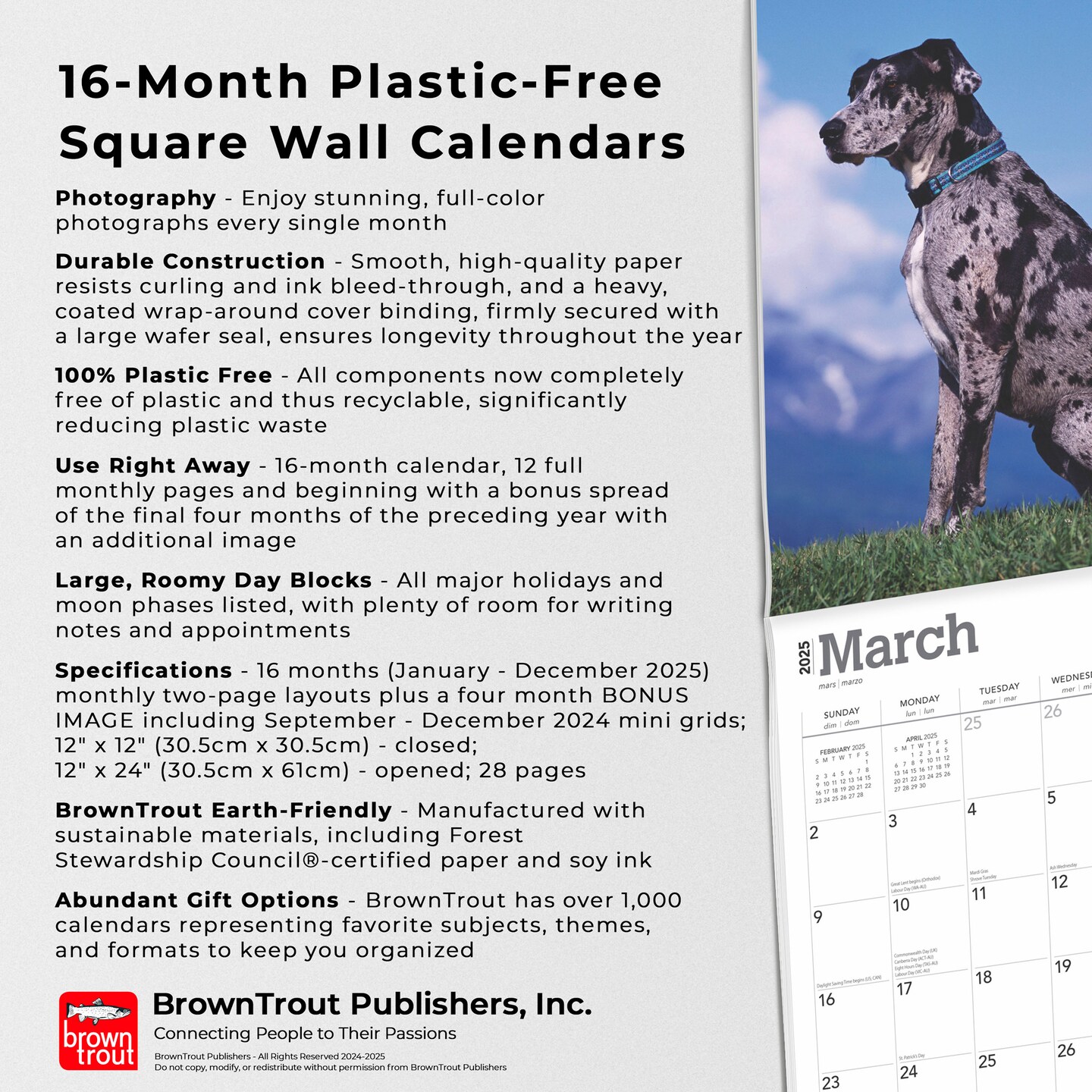 Great Danes | 2025 12 x 24 Inch Monthly Square Wall Calendar | Plastic-Free | BrownTrout | Animals Dog Breeds