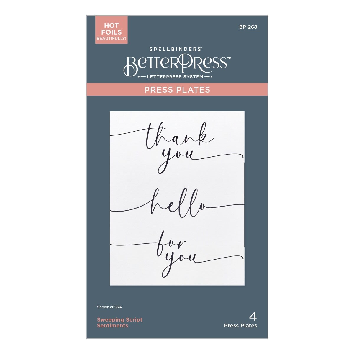 Spellbinders Better Press Plates The Vivid Expressions -Sweeping Script Sentiments