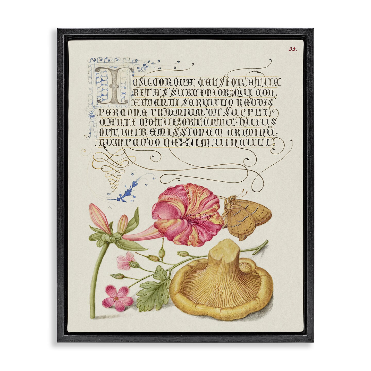 Stupell Industries Woodland Wildlife Study Framed Floater Canvas Wall Art Design by Grace Popp