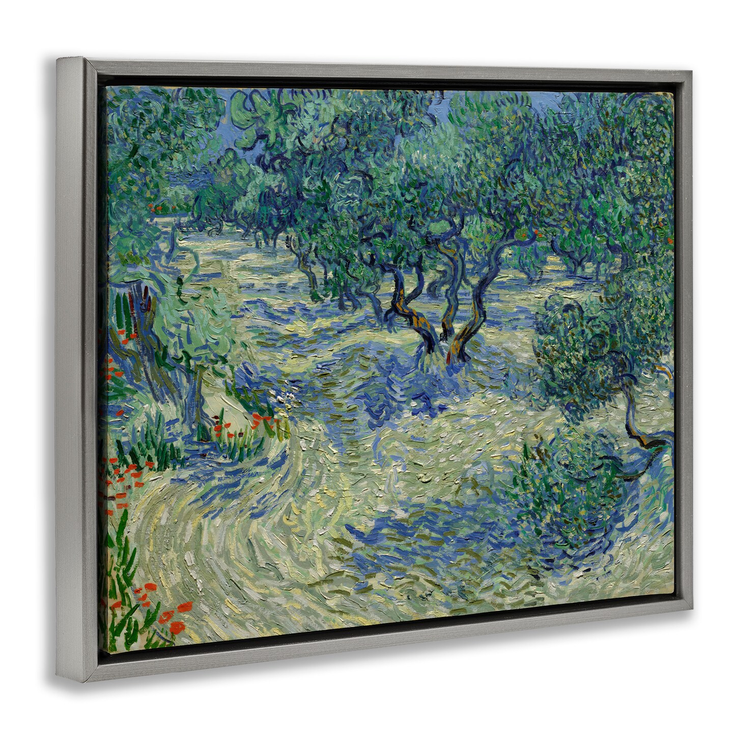 Stupell Industries Classic Van Gogh Olive Orchard Framed Floater Canvas Wall Art Design by one1000paintings