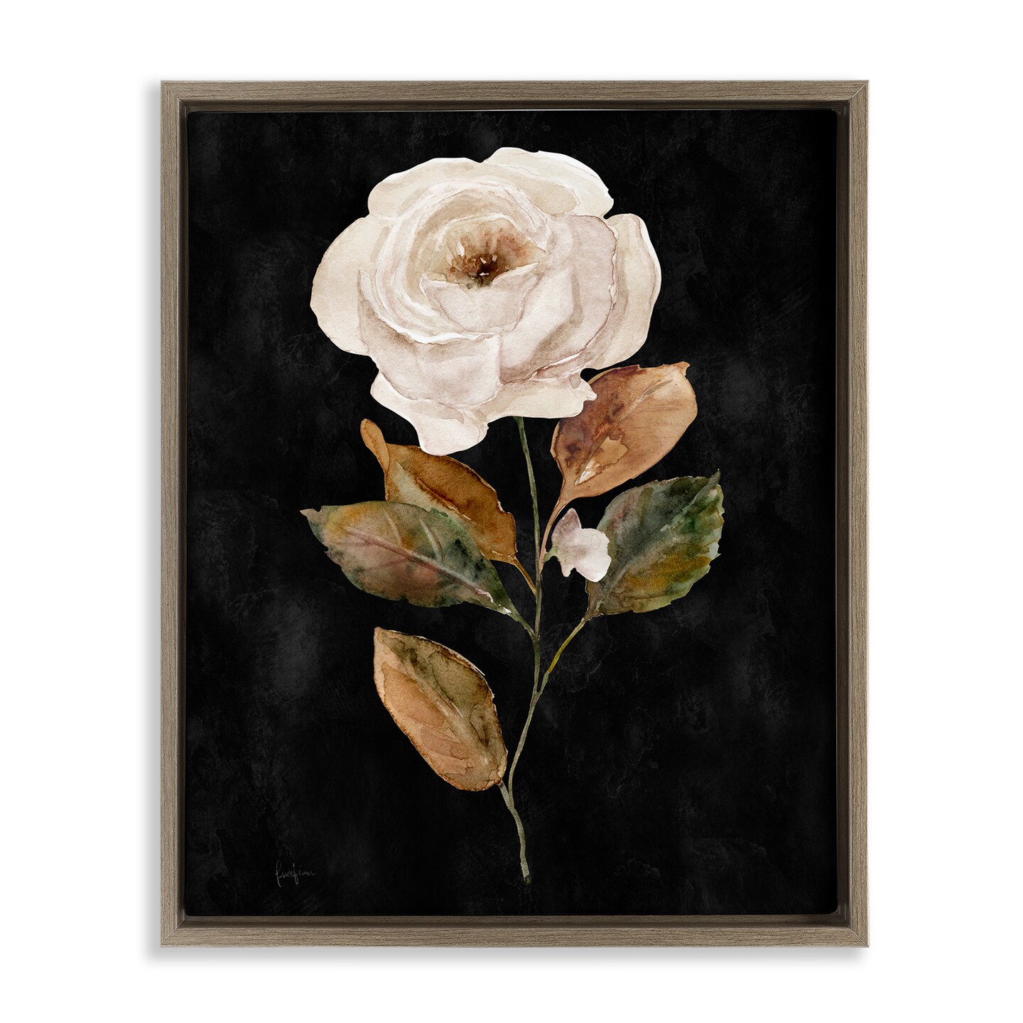 Stupell Industries White Rose on Black Framed Floater Canvas Wall Art Design by Livi Finn