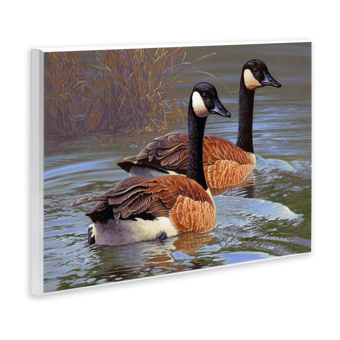 Stupell Industries Backwater Canada Geese Wall Plaque Art Design by Rod Lawrence