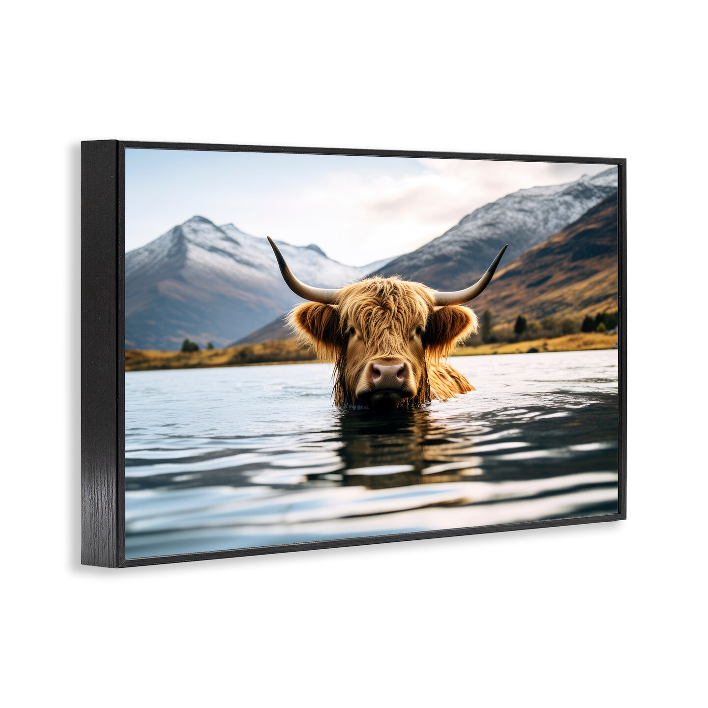 Stupell Industries Cattle Peeking from Water Framed Giclee Wall Art Design by Raymond Powers