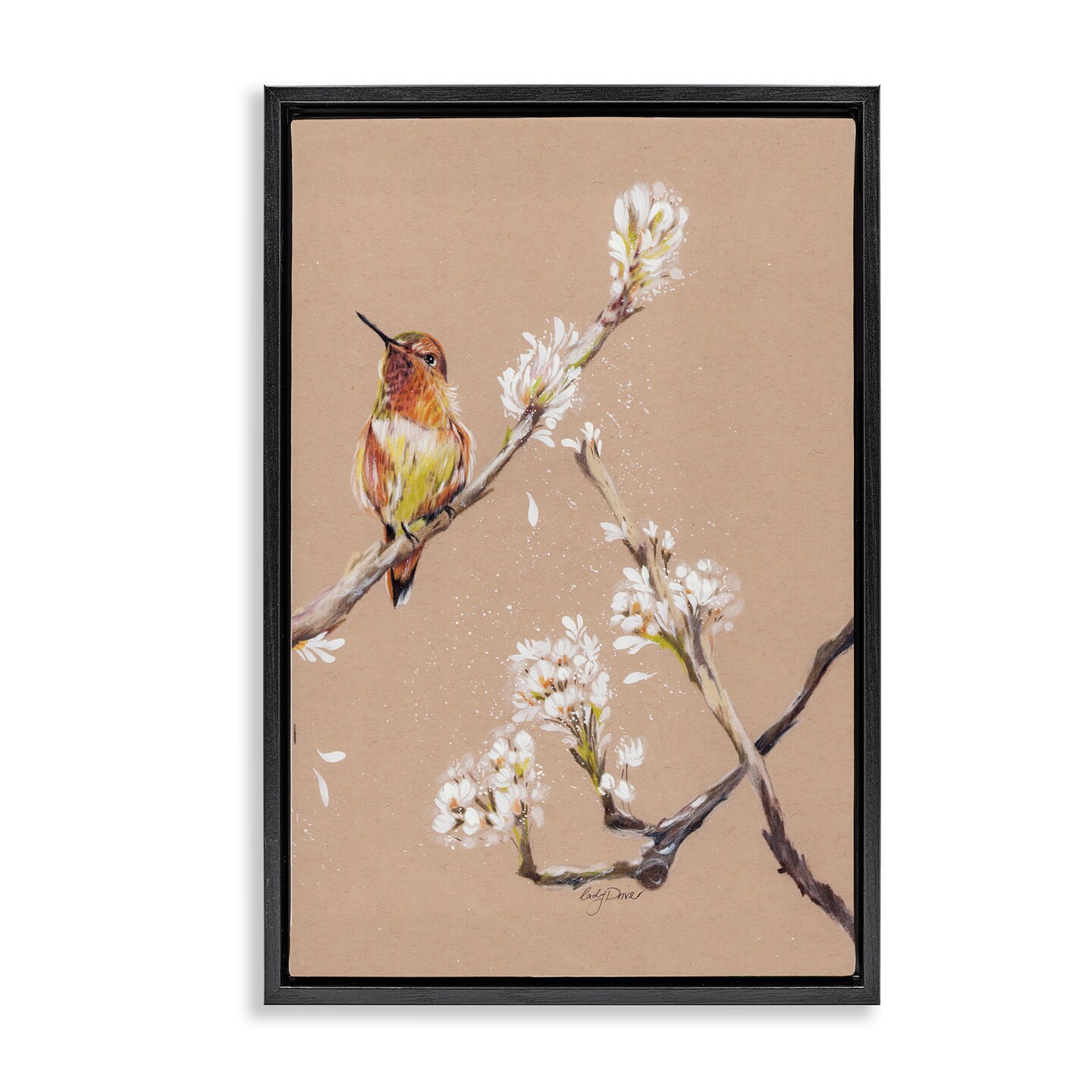 Stupell Industries Resting Hummingbird on Branch Floating Frame, design by Cady Driver
